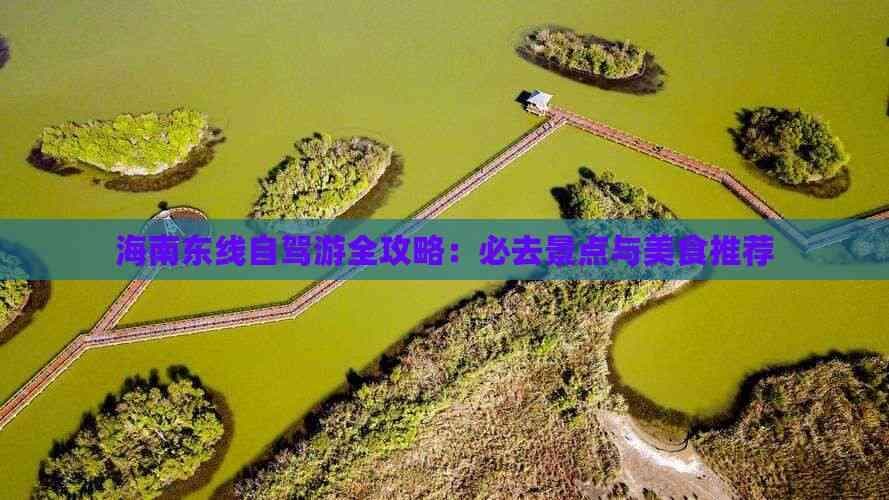 海南东线自驾游全攻略：必去景点与美食推荐