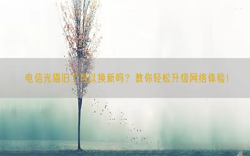 电信光猫旧了可以换新吗？教你轻松升级网络体验！
