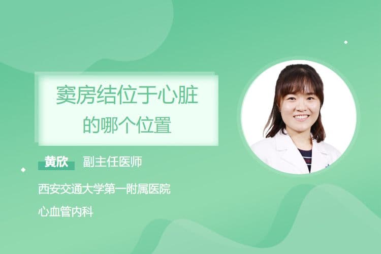 窦房结位于心脏的哪个位置