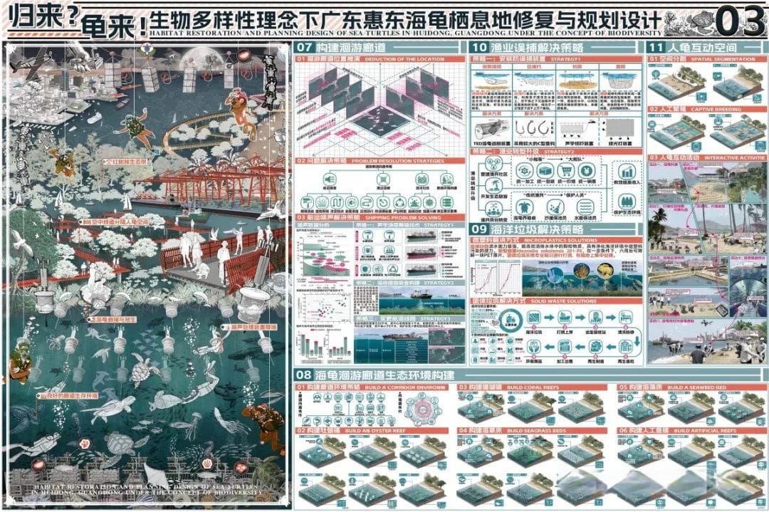 惠东海龟栖息地修复规划出炉，构建回游廊道保护海洋生态
