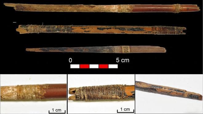 7000年前的弓弦和箭的发现揭开了新石器时代射箭的秘密