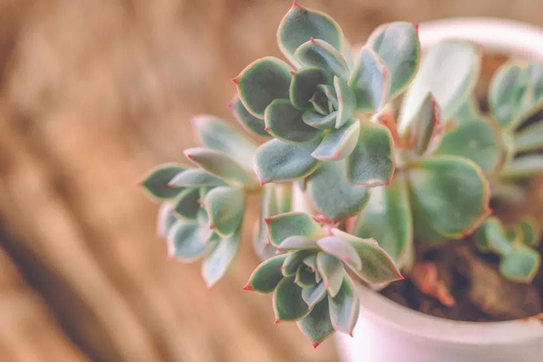 读这5首诗词 能让你焦虑的心灵平静下来
