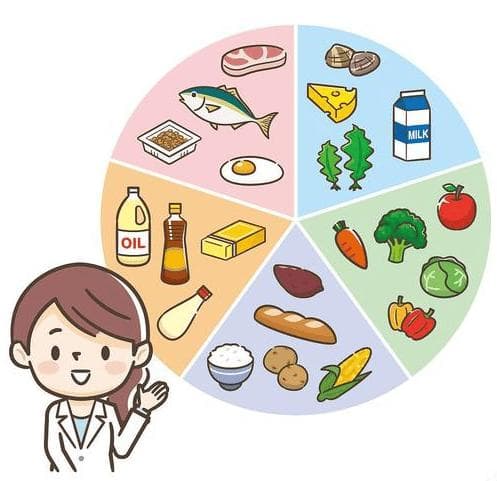 健康饮食四大原则：多样化、适量、少加工、定时定量