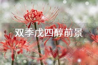 2025年双季戊四醇发展前景 趋势预测