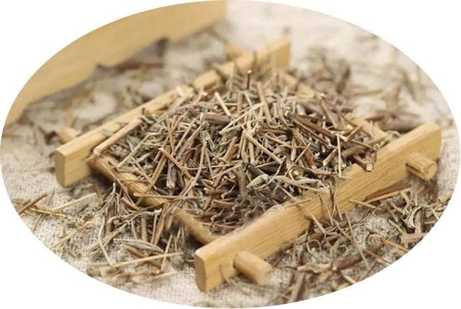 【药食同源】发汗解表 化湿和中之“香薷”