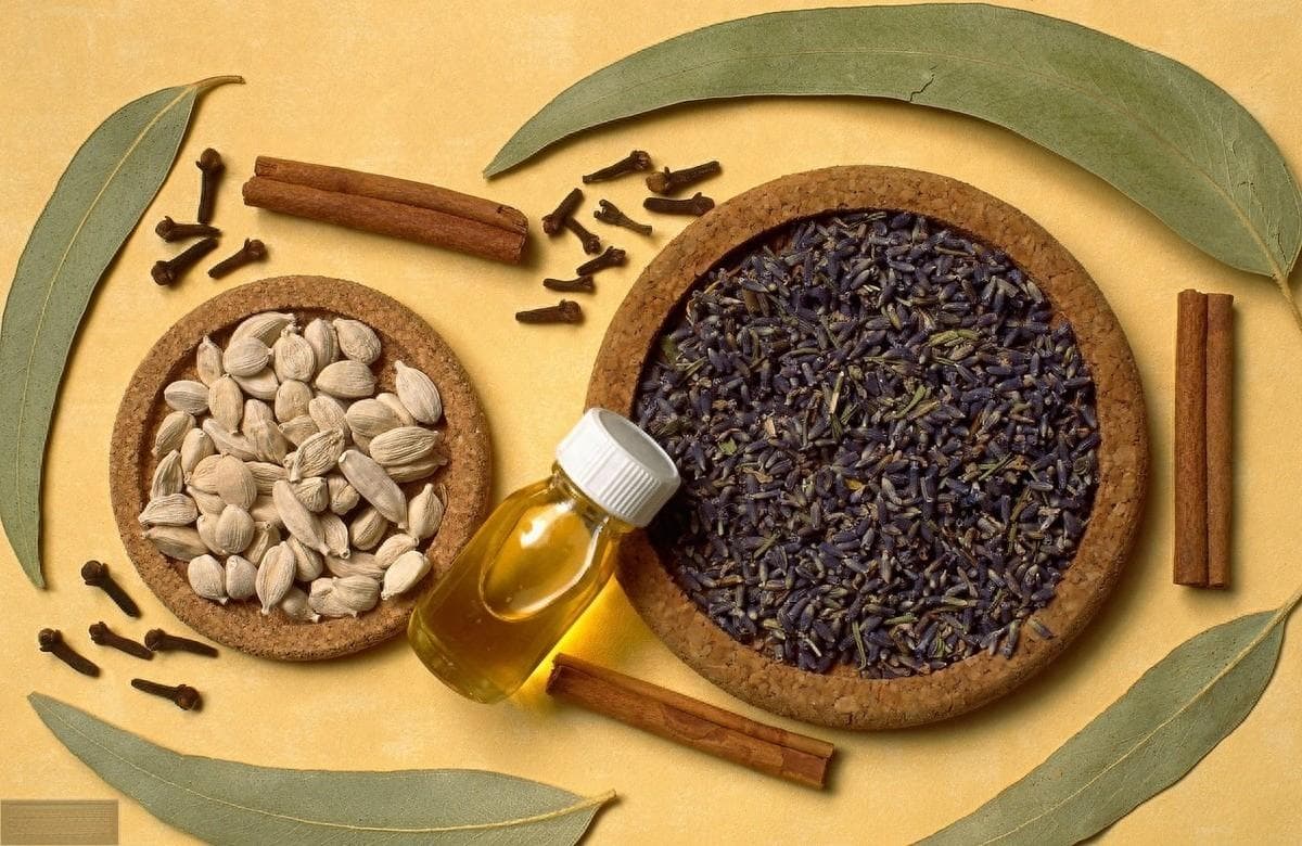 丁香叶茶的功效与作用及禁忌：丁香抗口臭，寒底冲茶，热底漱口