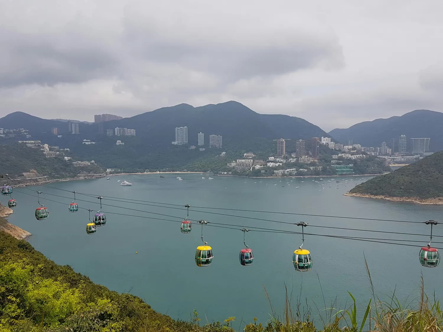 香港必打卡！海洋公园&维多利亚港