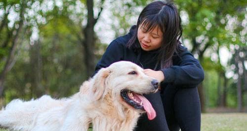 喜爱养狗的女性的性格特点（以宠物为主的人生观与价值观的判断）