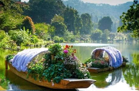 深圳仙湖植物园游览攻略：从门票到住宿的全方位指南