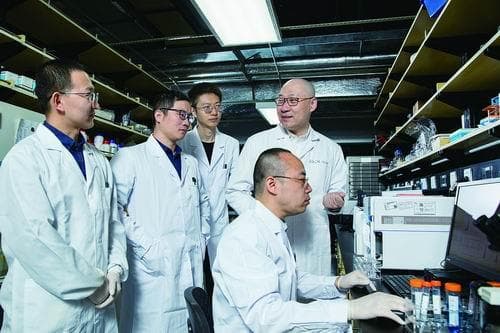 我国科学家首次揭示细菌抗肿瘤关键原理