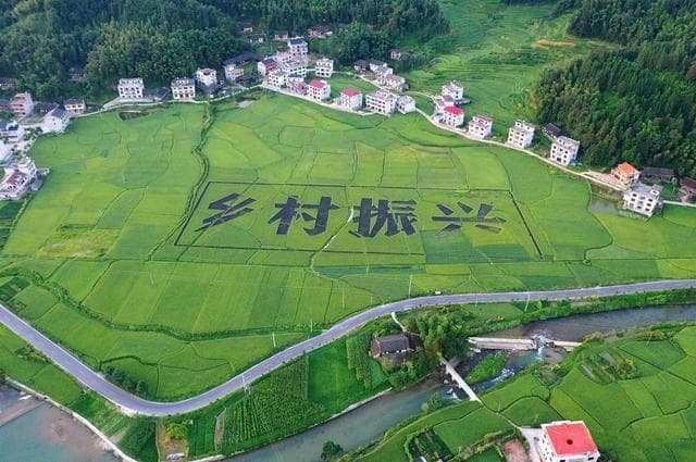 乡村振兴与乡村旅游创新：提升旅游服务水平，助力美丽乡村建设
