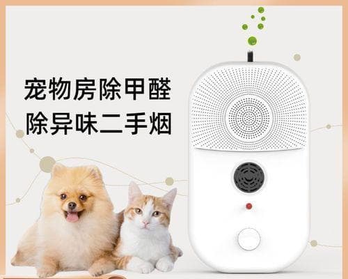 养猫初学者必看——猫砂盆摆放位置指南（如何选择合适的摆放位置？）