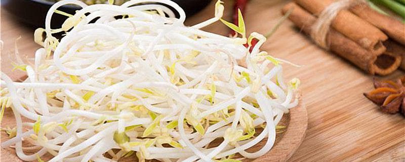 发豆芽为什么要避光 发豆芽为什么需要遮光