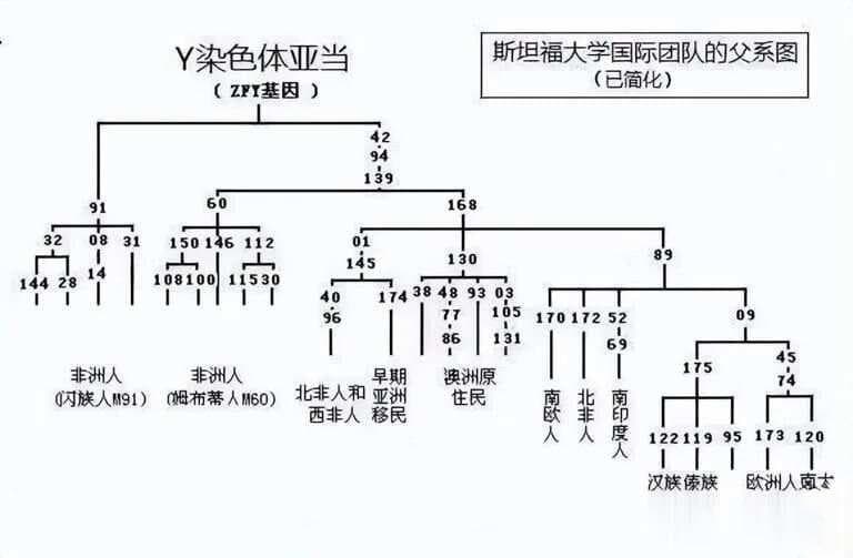 人类到底起源于非洲还是东亚？