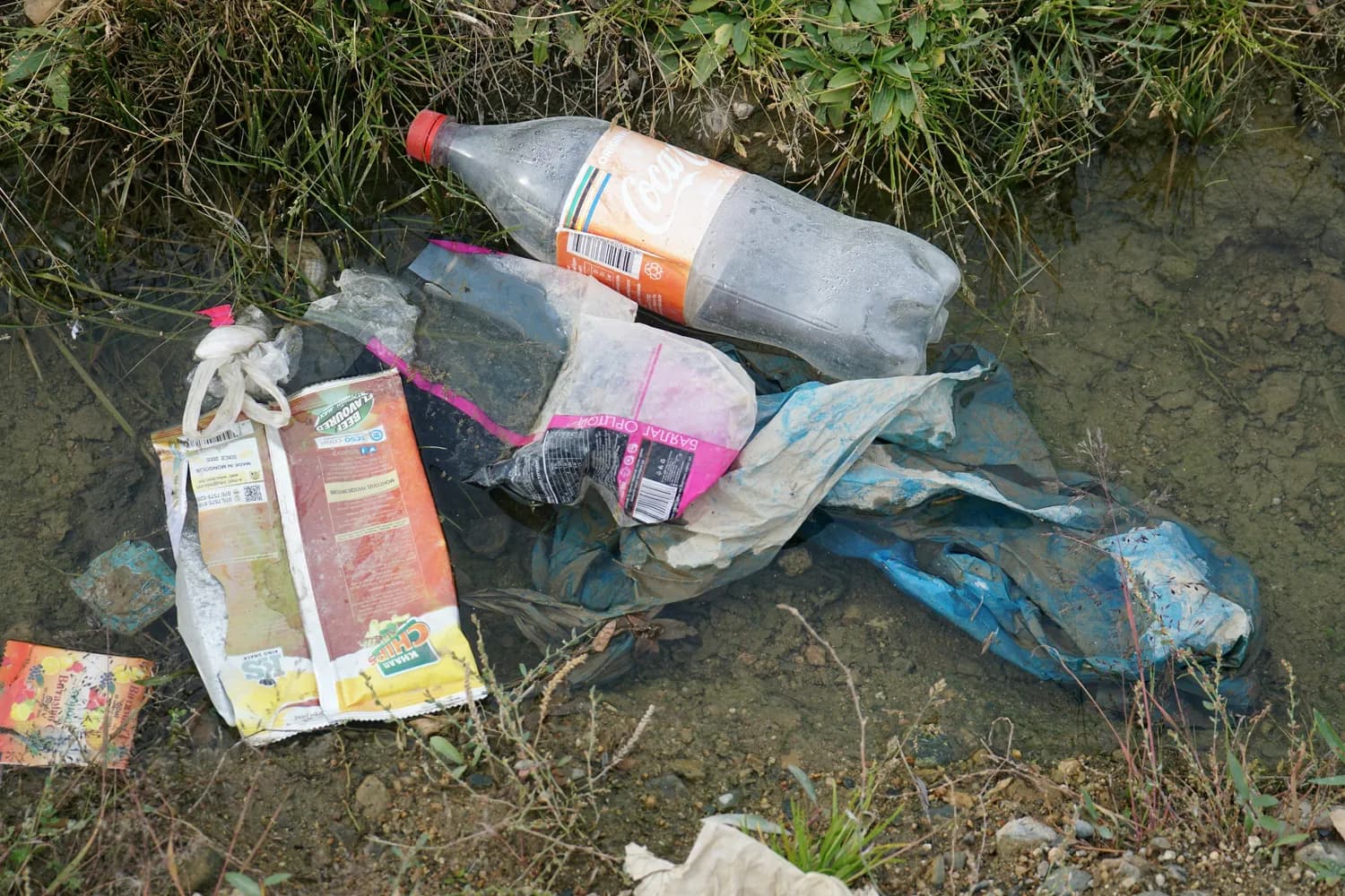 “养臭水”风靡校园，专家：可能引发肺炎、影响大脑发育