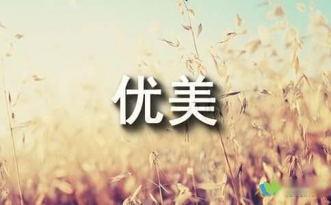 表达思念的优美句子摘抄
