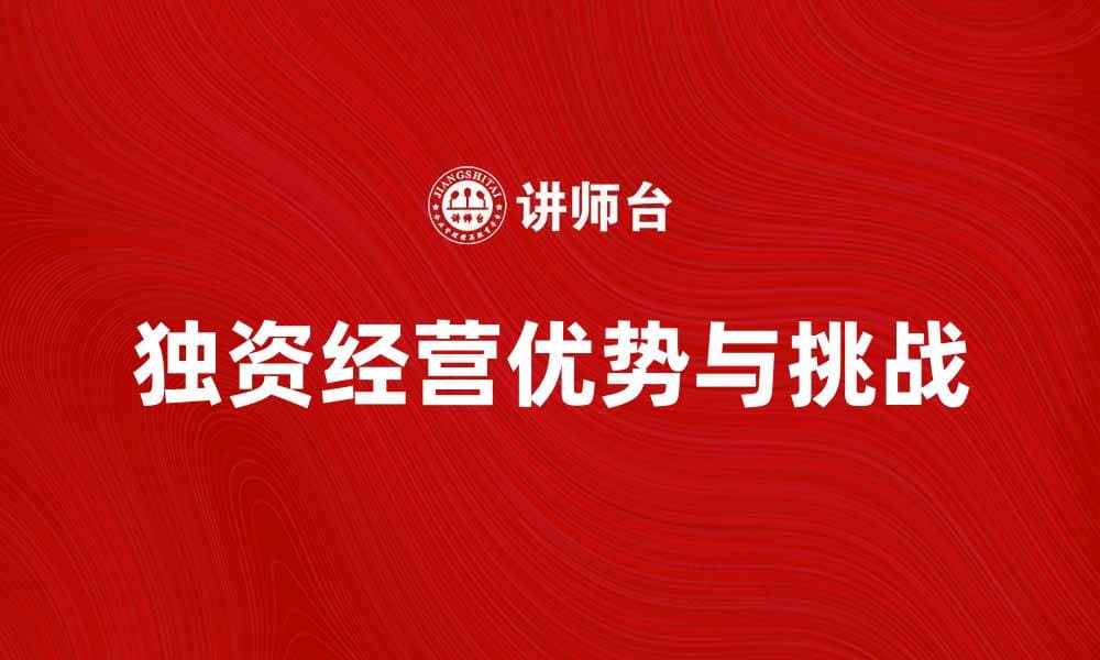 独资经营的优势与挑战解析，助你创业成功