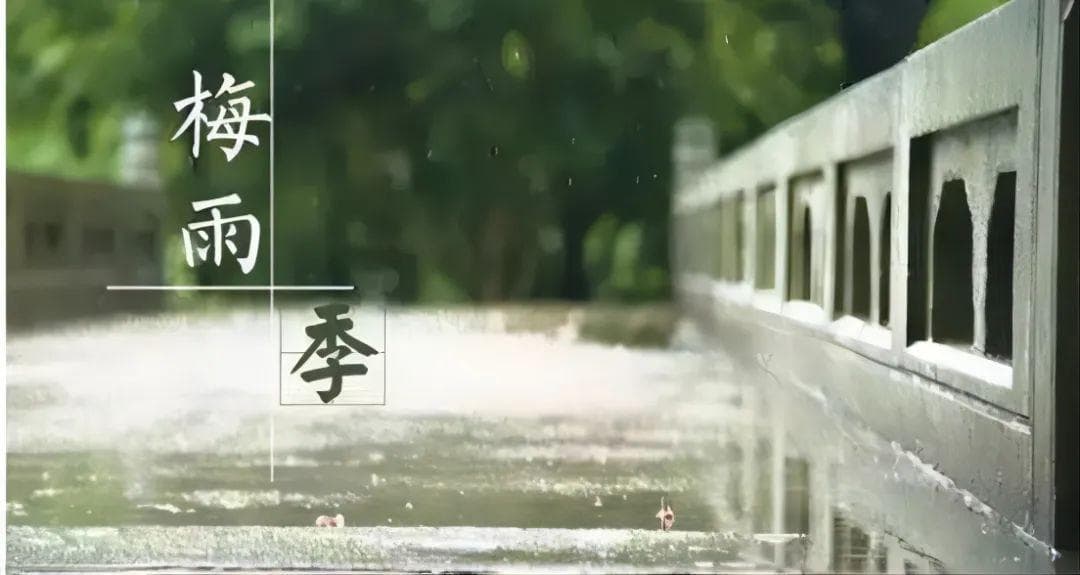 “梅完梅了”的梅雨季，怎么防“霉”怎么吃？