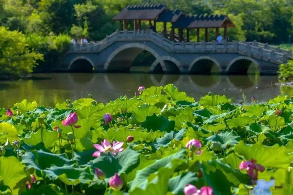 古诗词里的福州夏日风景