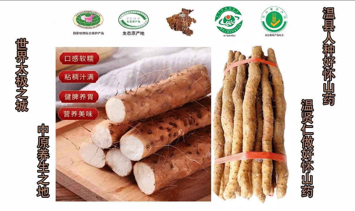 铁棍山药功效与作用及营养价值：自然的药用瑰宝，健康的守护神