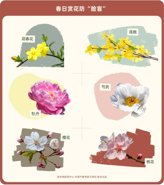 赏花防脸盲指南来了！教你分辨那些“撞脸”的花儿
