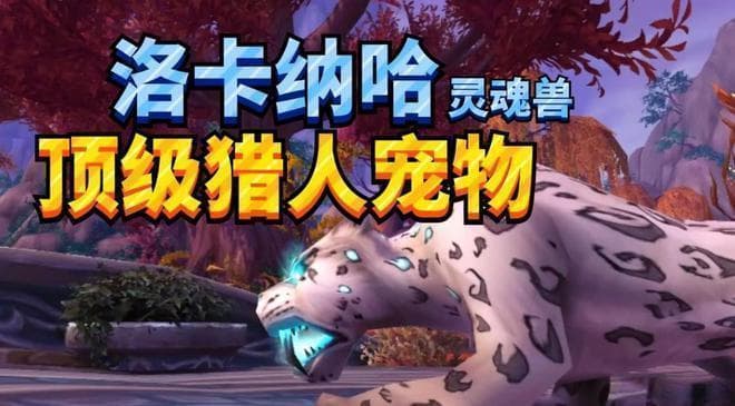魔兽世界不同职业在PvP中有哪些常见的战术和策略？
