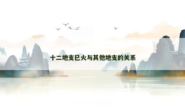十二地支巳火与其他地支的关系