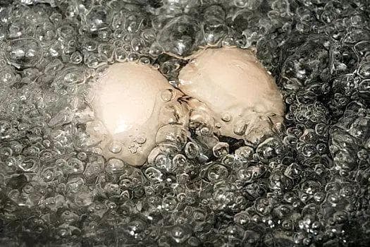 通过研究“传热”如何煮出完美水煮蛋？Nature报道最佳煮蛋技术