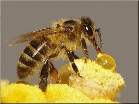 【案例分享】看懂城市生物多样性设计-栖息地设计①