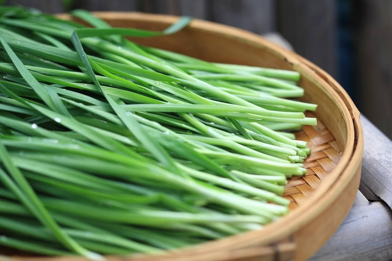 虾仁韭菜鸡蛋三鲜水饺馅怎么调？附韭菜不出水的小妙招