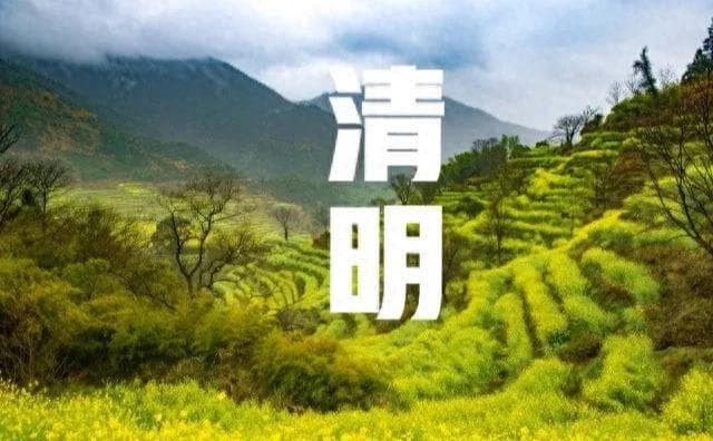 清明节来临，无儿无女，谁来为父母扫墓？真相令人心痛！