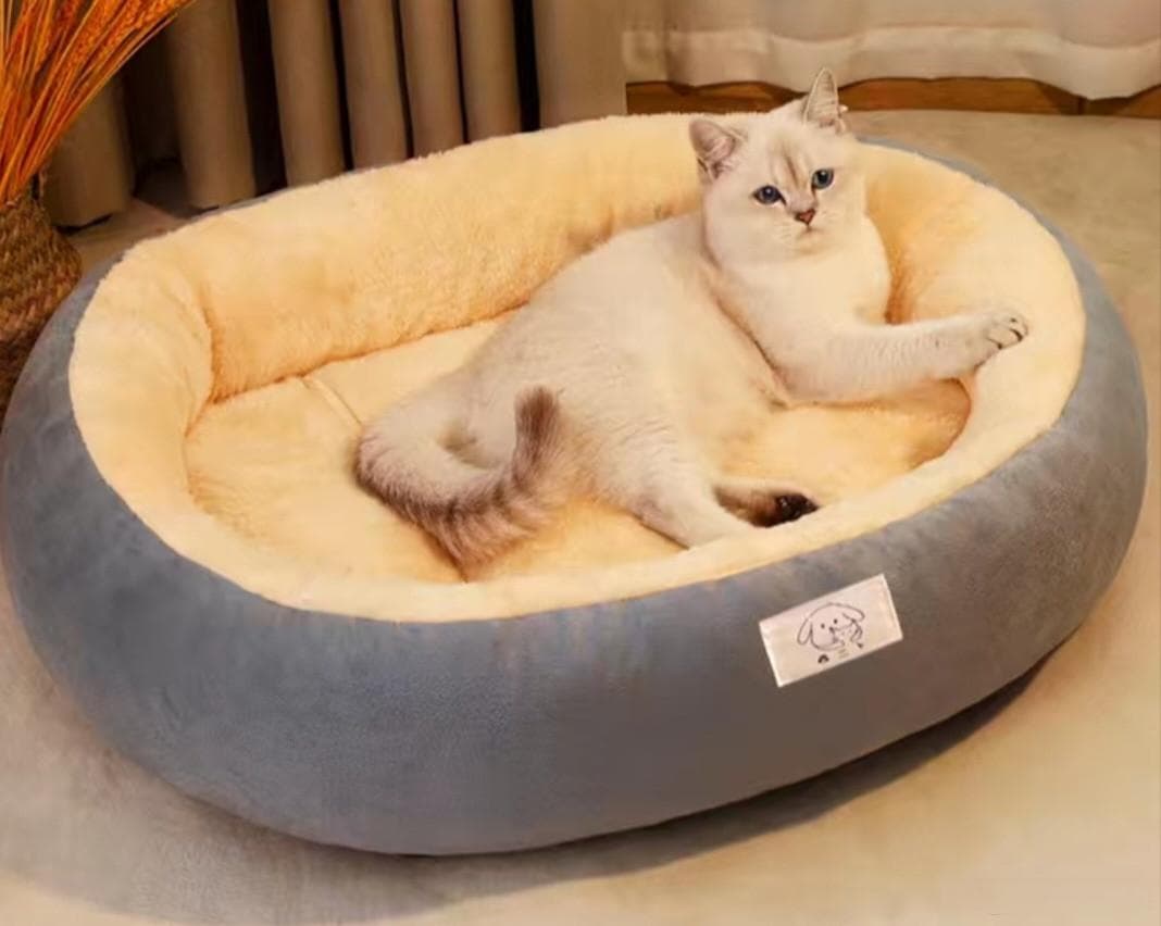 铲屎官必看！如何挑选最合适的猫窝，让猫咪更幸福