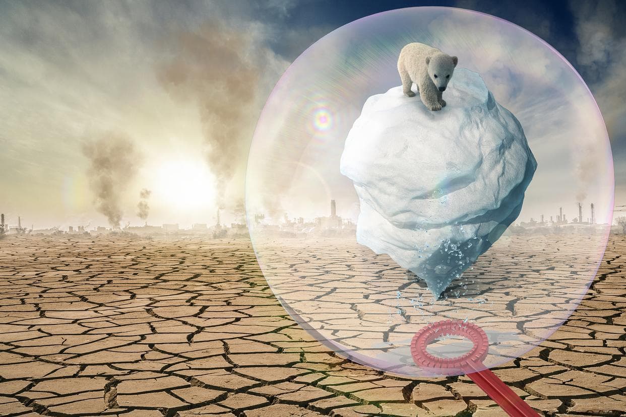 2024年全球气候变暖的多重驱动因素