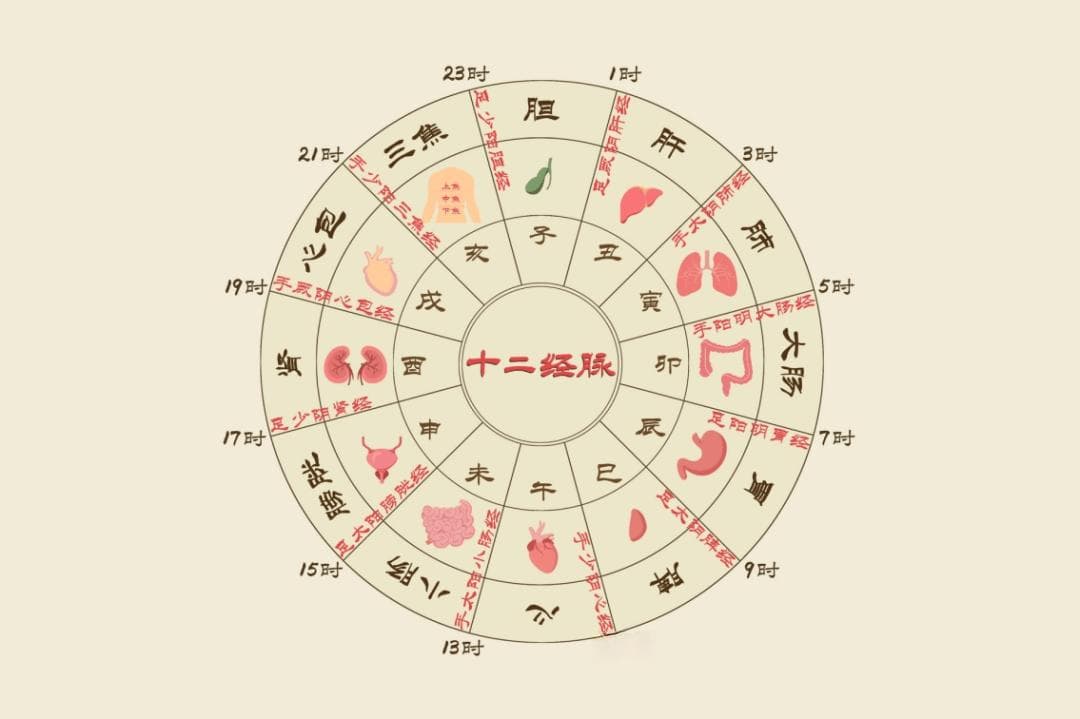 十二时辰养生法｜辰时：吃好早餐有技巧