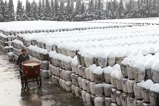 黄酒承载的文化印记