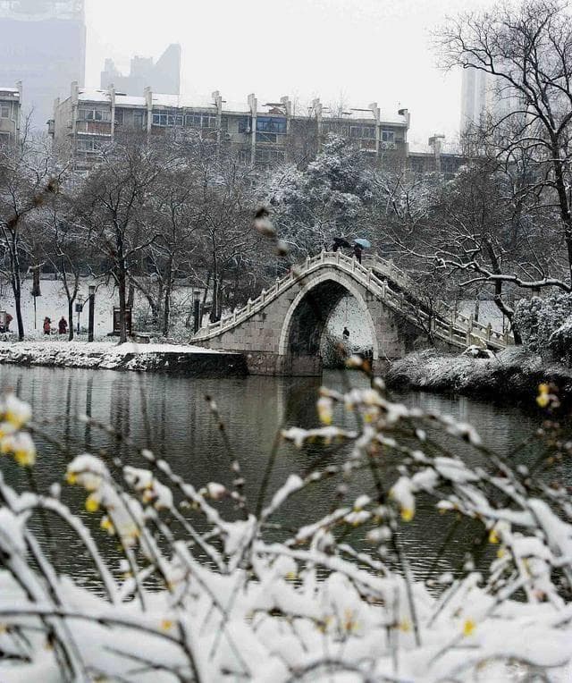冬游合肥：从巢湖雪景到地道美食，3日完美行程规划
