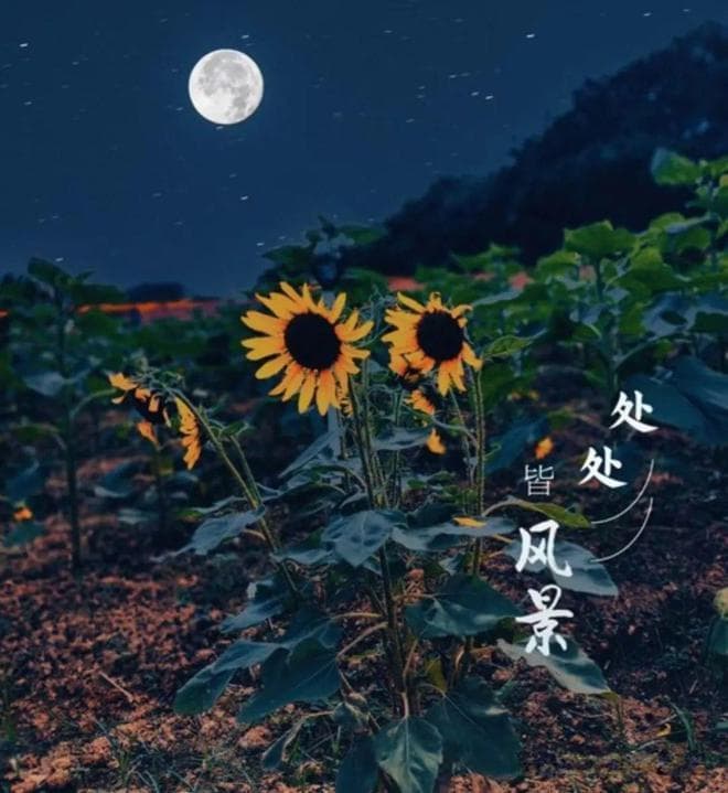 2025年蛇年不一般，两个立春、七龙治水，有什么讲究？