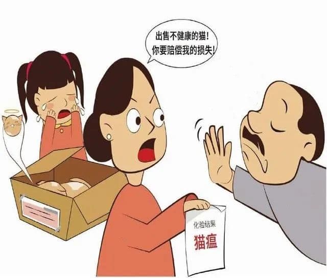 宠物猫买回家没几天就因病死亡，相关责任谁来承担？