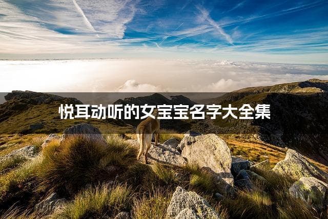 悦耳动听的女宝宝名字大全集 有中国文化特色的名字