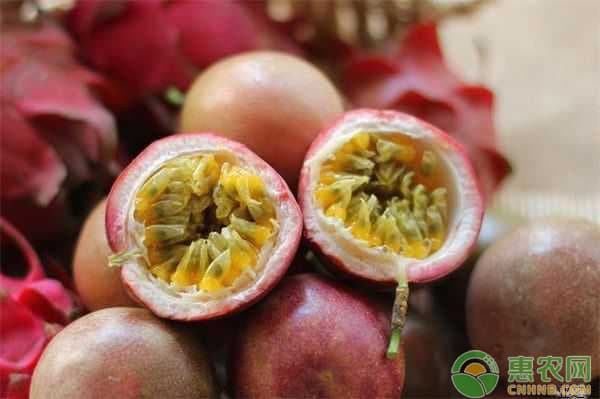 百香果果脯加工工艺详解：从原料选择到成品包装的完整流程