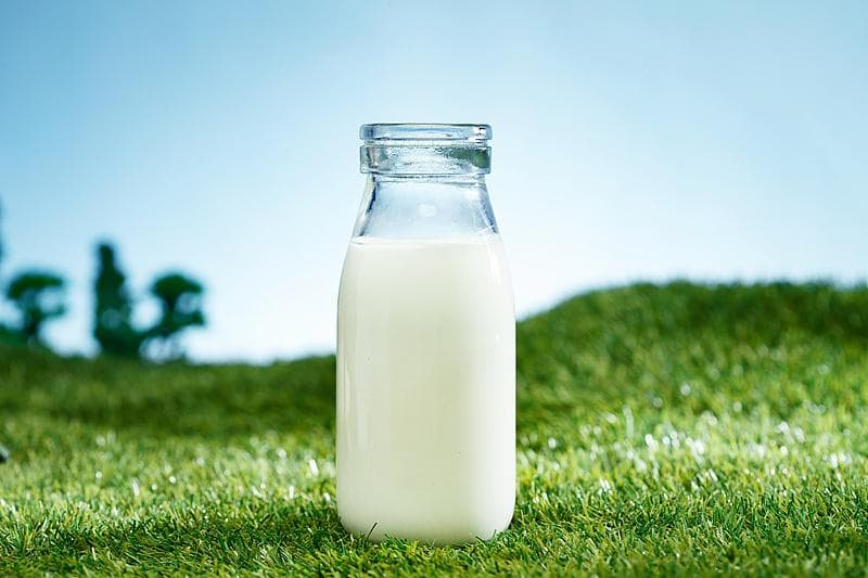 科技名词|钙磷比 calcium-phosphorus ratio
