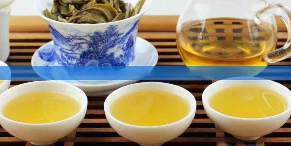 使用茶叶水浇花是否安全？探讨其对植物根部的影响及正确使用方法