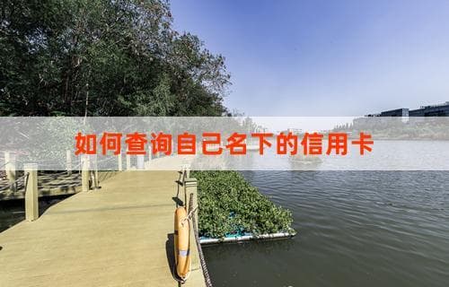 如何查询自己名下的信用卡及其相关信息解析