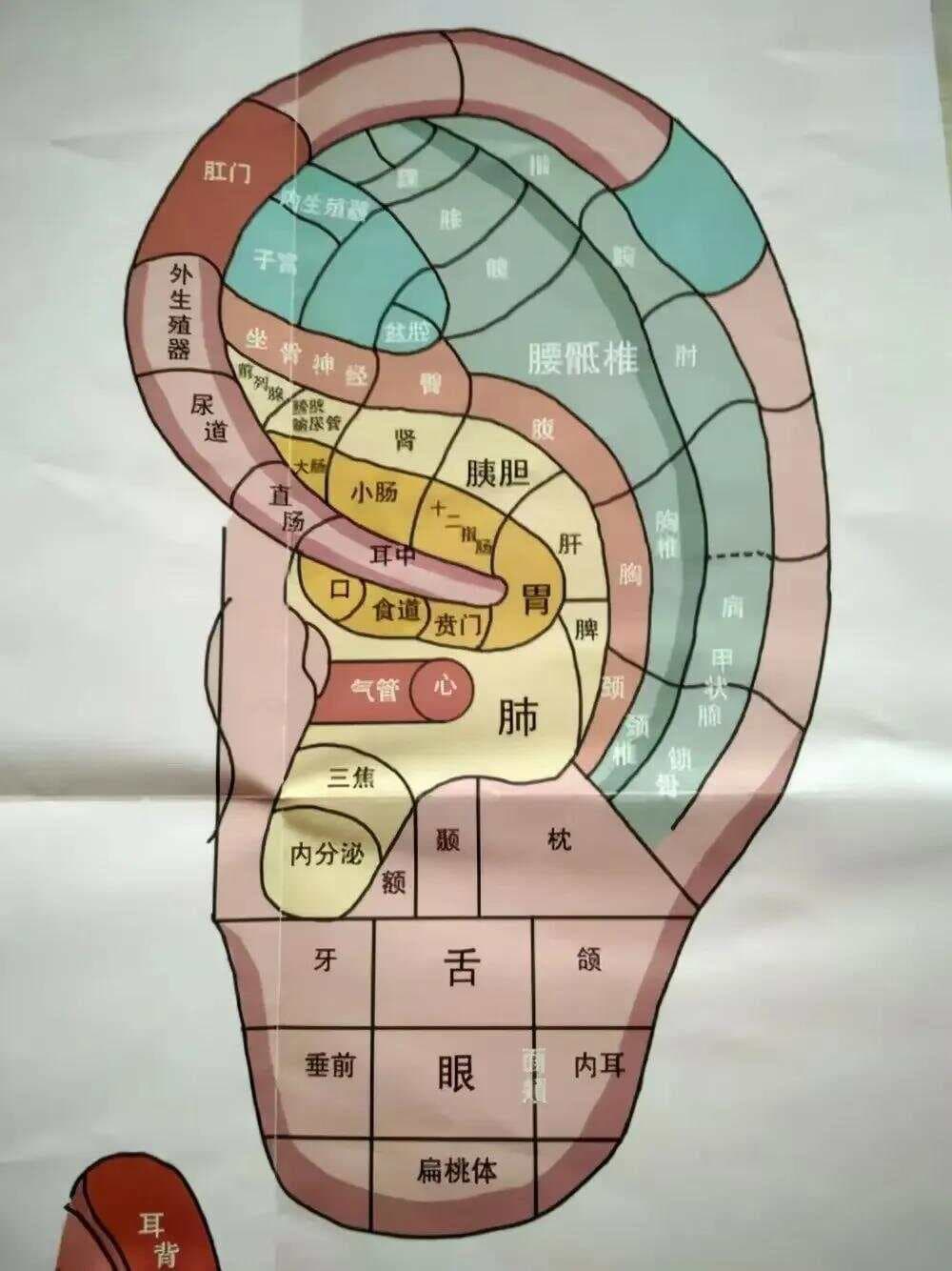什么是肝郁气滞？从成因到调理方法全解析