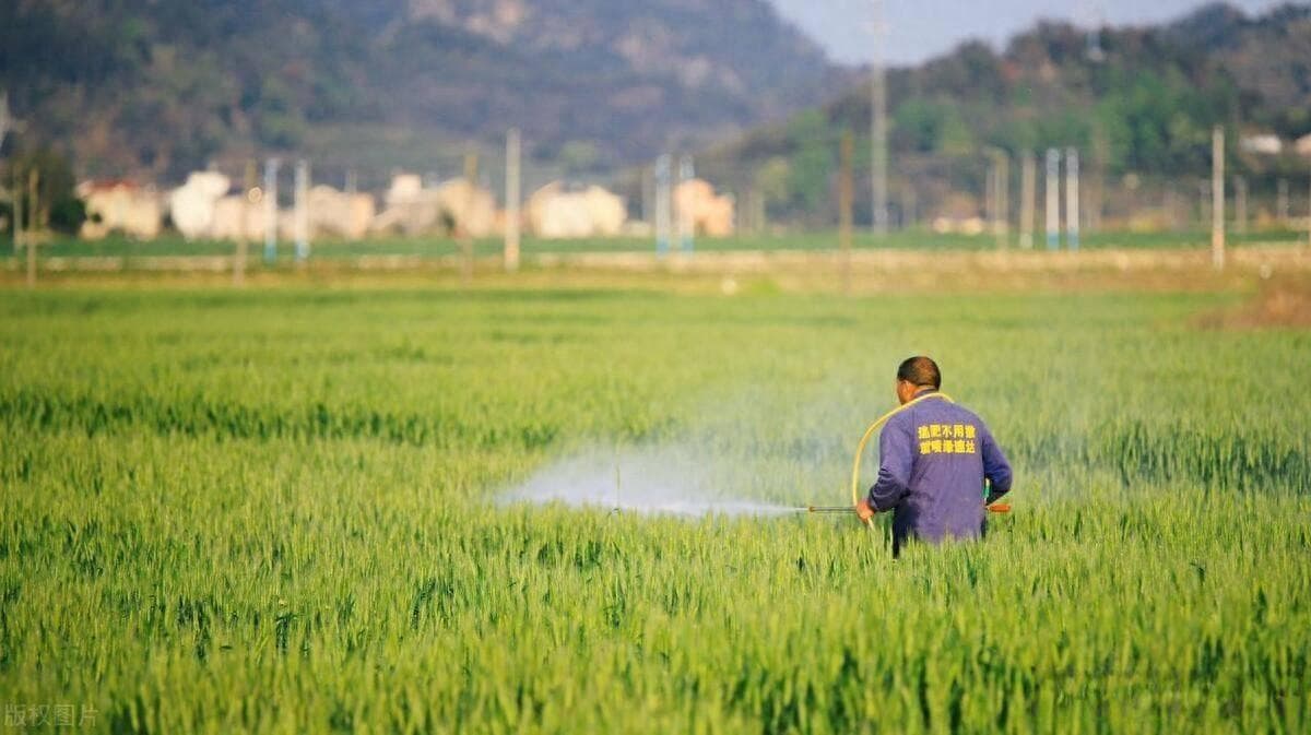 除草剂科学使用技术要求是什么