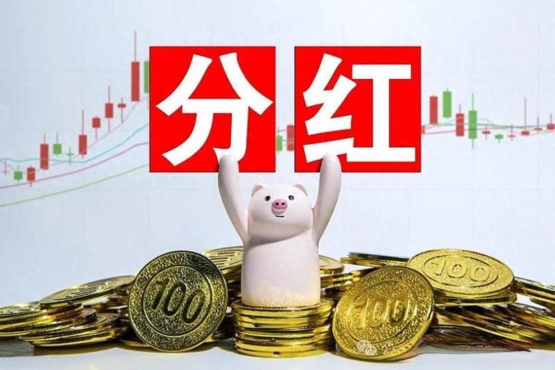 喵会计教你看——分红、回购、股利支付率和PB！