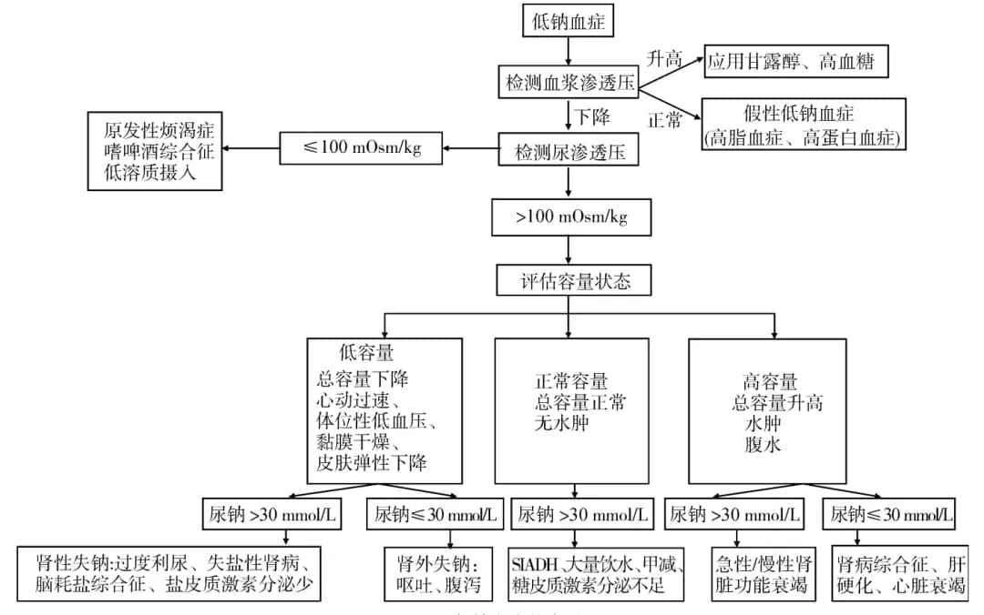 低钠血症的诊断与治疗：从病因到临床实践