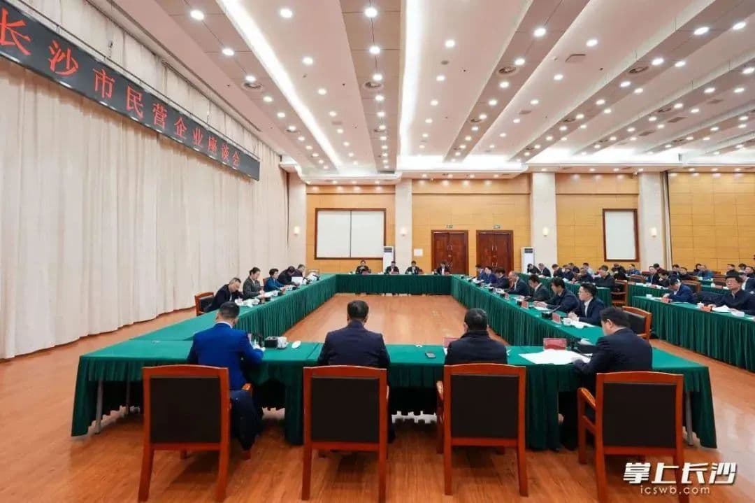 长沙民营经济，大显身手正当其时
