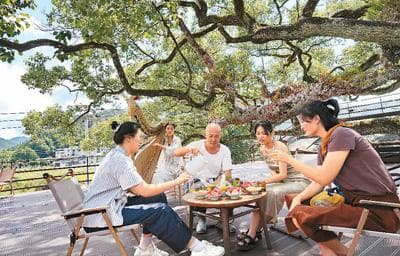 观景、康养、研学、探秘——到福建乐享特色森林游