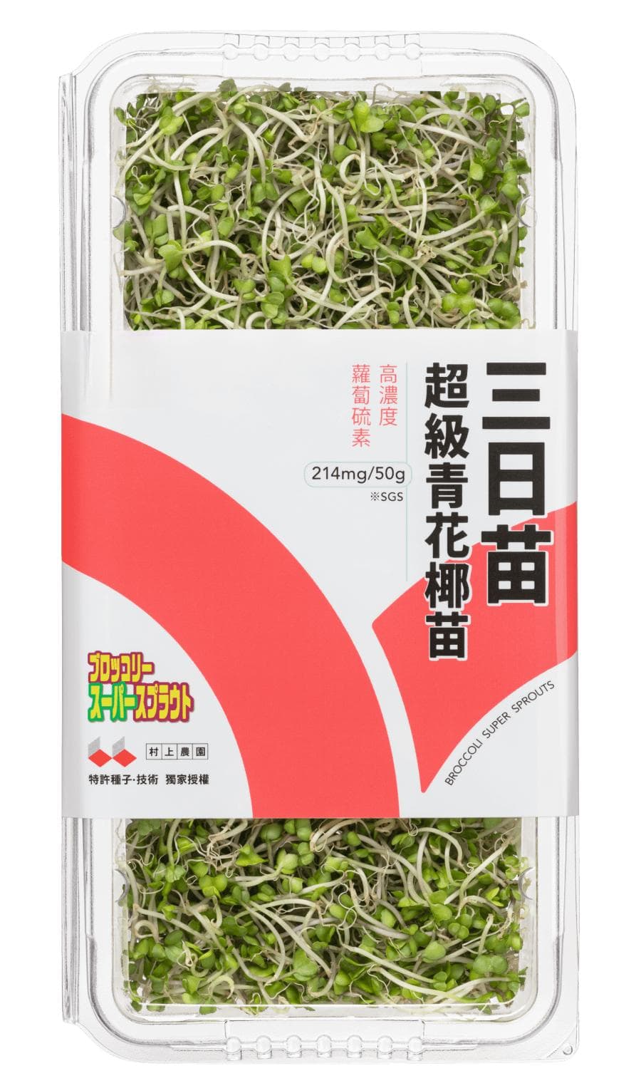 便秘怎么办？便秘原因有哪些？最完整的改善便秘指南